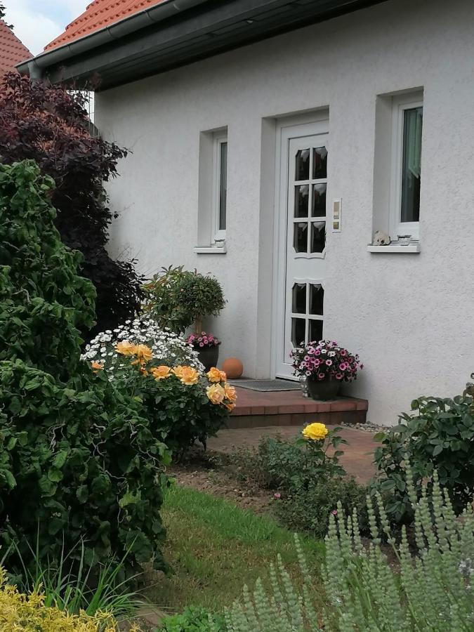 Appartement Fam. M.Lehmann Heringsdorf  Exterior photo